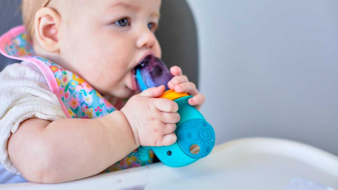 Food Pacifier: A Comprehensive Guide for New Parents on Fruit Feeders