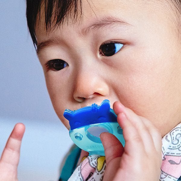 Marcus & Marcus 1-Piece Construction Infant Pacifier