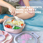 Stainless Steel Lunch Box (2 Tier), 3 Compartments with Fork and Spoon