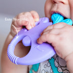Infant Sensory Teether