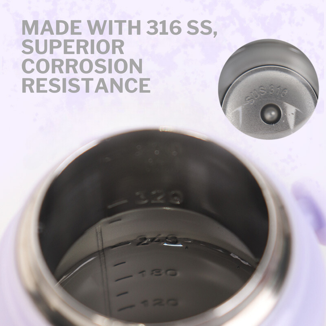 Straw & Spout Insulated Water Bottle (350ml)
