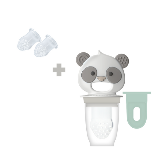 Infant Fruit Feeder (with replacement pouch)