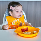 Suction Plate