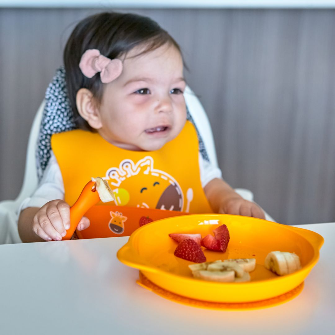 Suction Plate