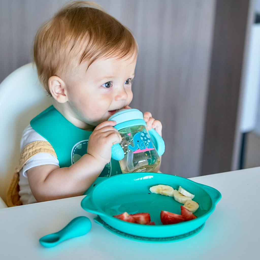 Suction Plate