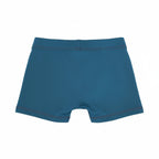 Marcus & Marcus Toddler Swim Boxers – Blue "Surfing Lion" (18M - 4T)