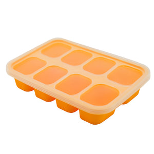Baby Food Freezer Tray with Lid
